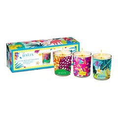 Moana Delirium Floral Jardin Pallanca - Trio Bougies Parfumees, BAÏJA